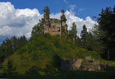 Tocht Te voet Slovenj Gradec - Zelena pot z zgodbo - Photo