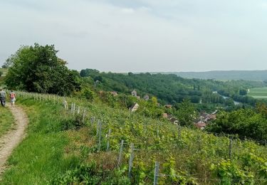 Excursión Senderismo Crouttes-sur-Marne - Crouttes-sur-Marne du 20-05-2023 - Photo