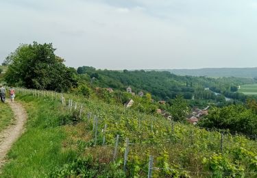 Percorso Marcia Crouttes-sur-Marne - Crouttes-sur-Marne du 20-05-2023 - Photo