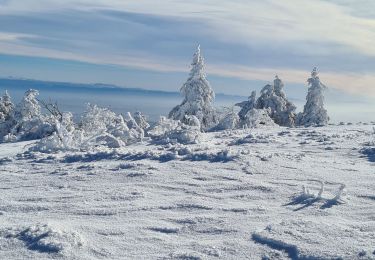 Tocht Sneeuwschoenen Véranne - crets de l'oeillon - Photo