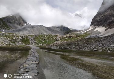 Trail Walking Pralognan-la-Vanoise - Vanoise 2021 : Pralognan au refuge du col de la Vanoise (-07-17).ori - Photo