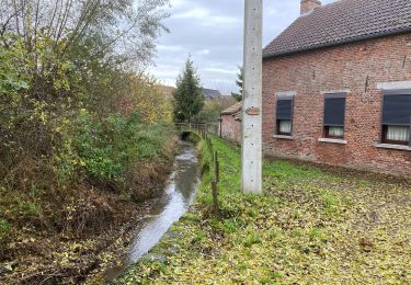 Tour Wandern Quévy - Quevy le petit 18,6 km - Photo