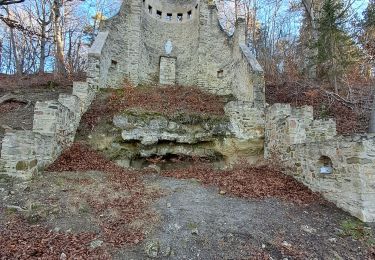 Tocht Stappen La Roche-Blanche - Gergovie, chapelle déesse - Photo