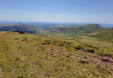Trail Walking Albepierre-Bredons - boucle plomb du cantal du col de prat de bouc - Photo