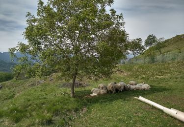 Excursión A pie Valvestino - Molino di Bollone (Valvestino) - Droane (Valvestino) - Photo