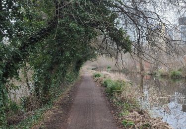 Tocht Stappen Woking - Lac de Goldsworth park par le canal  - Photo