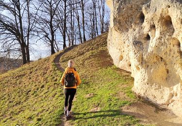 Trail Walking Maastricht - La Montagne Saint-Pierre, une multitude de paysages - Photo