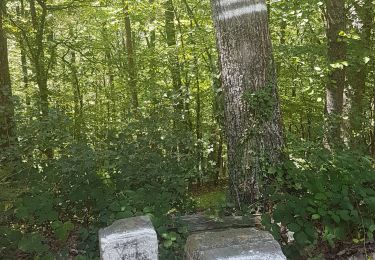 Tour Wandern Sankt Pilt - Hauteurs de St-Hippolyte - Photo