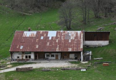 Excursión A pie L'Abbaye - Pétra Félix-Dent du Vaulion - Photo