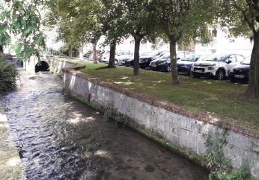 Tocht Stappen Darnétal - Darnétal- Le Bois du Roule vers Roncherolles - Photo