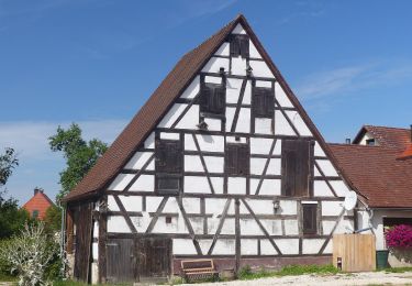 Randonnée A pied Altdorf bei Nürnberg - Altdorf 6a - Photo