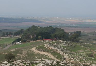 Tour Zu Fuß Regionalverwaltung Mateh Jehuda - יער הנשיא - ירוק - Photo