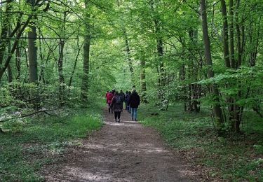 Trail Walking L'Isle-Adam - J muguet - Photo