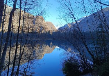 Trail Walking Le Bourg-d'Oisans - Lac de Buclet et cascade de la Pisse - Photo