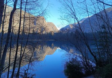 Tour Wandern Le Bourg-d'Oisans - Lac de Buclet et cascade de la Pisse - Photo