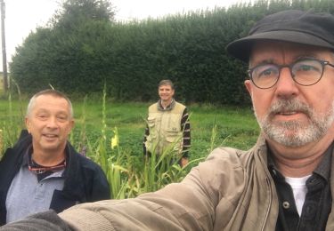 Tocht Stappen Gerpinnes - Joncquière -Bultia  - Photo