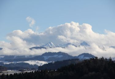 Excursión A pie Schmitten (FR) - Schmitten - Wiler - Photo