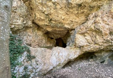 Trail Walking Eygalières - Eygalières  - Photo