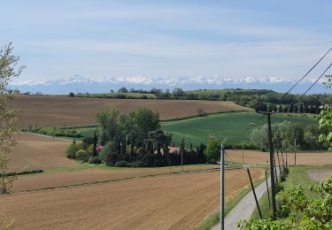 Tocht Stappen Muret - SityTrail - Via garona depuis Muret 24/04/2021 - Photo