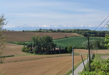 Randonnée Marche Muret -  Via Garona depuis Muret 24/04/2021 - Photo