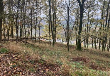 Trail Walking Aywaille - Boucle Aywaille - Photo
