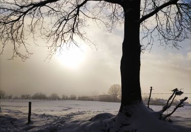 Tour Wandern Stoumont - Promenade de la Vecquée à Stoumont   - Photo