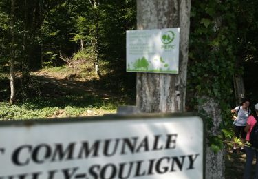 Tour Wandern Bouilly - Forêt de Laines aux Bois - Photo
