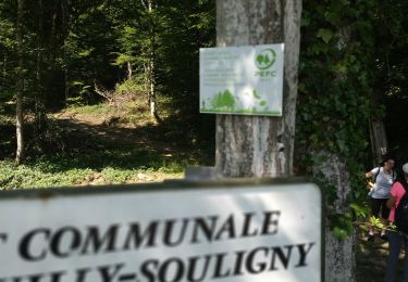 Randonnée Marche Bouilly - Forêt de Laines aux Bois - Photo