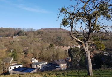 Tocht Stappen Luik - Rocourt - chr de Liège  - Rocourt  - Photo