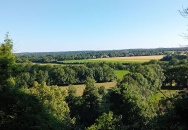 Randonnée Marche Montreuil-Juigné - Montreil-Juigné - Photo