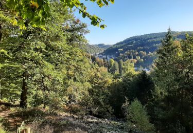 Trail Nordic walking Plombières-les-Bains - plombieres20221008 - Photo
