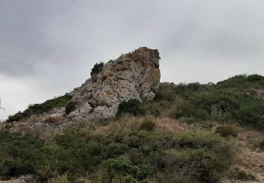 Trail Walking Salses-le-Château - salses combes lron - Photo