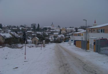 Randonnée A pied Petrov - [Č] Jílovské vyhlídky - okruh - Photo