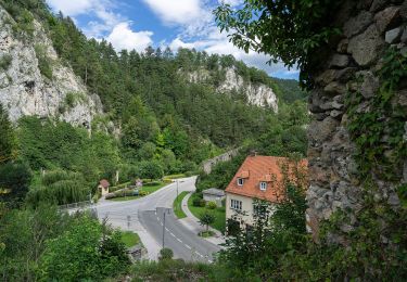 Tocht Te voet Gemeinde Schottwien - Schottwien - Eselstein - Photo