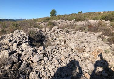 Trail Walking Salernes - Salernes - Photo