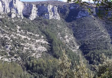 Trail Walking Grabels - serre grenouillet  - Photo