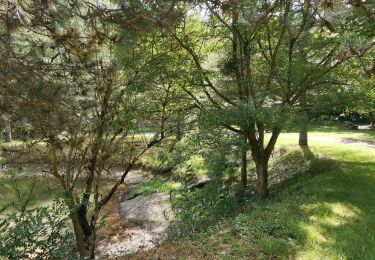 Trail Walking Lairière - Milobre de Bouisse  - Photo