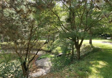 Randonnée Marche Lairière - Milobre de Bouisse  - Photo