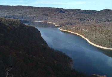 Excursión Senderismo Moirans-en-Montagne - Moirans La grande lésine - Photo