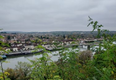 Tocht Stappen Champagne-sur-Seine - Champagne sur Seine 241103 - Photo