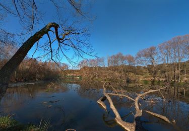 Tocht Te voet Plasencia - Paseo Fluvial Plasencia, Aguas Arriba - Photo