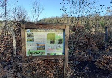 Tour Zu Fuß Libramont-Chevigny - Fagne des Anomalies - Photo