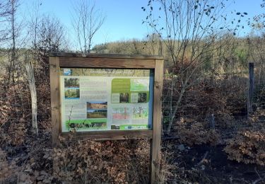 Percorso A piedi Libramont-Chevigny - Fagne des Anomalies - Photo