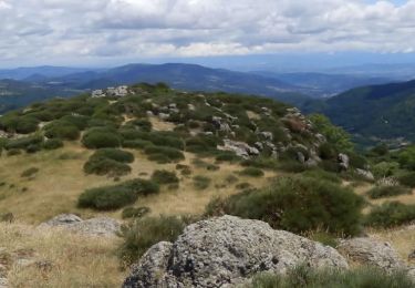Trail Walking Saint-Étienne-de-Boulogne - Le Rastelas 14km - Photo