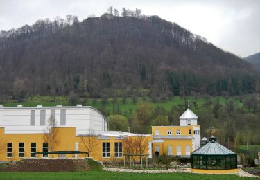 Tocht Te voet Gomadingen - Löwenpfade: Höhenrunde - Photo