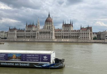 Trail Walking Unknown - Budapest Chateau-Pont Elisabeth - Photo