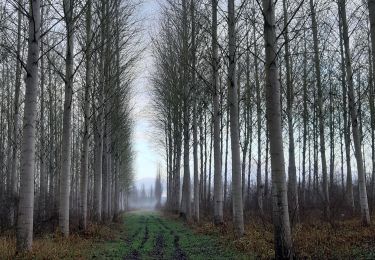 Excursión Marcha nórdica Romilly-sur-Seine - la Béchère 6 décembre 2021 - Photo