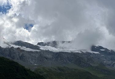 Tocht Stappen Champagny-en-Vanoise - Refuge de la Gliere lac 10,7 km - Photo