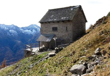 Percorso A piedi Druogno - M03 - Coimo - Monte Loccia di Peve - Photo