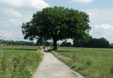 Tour Zu Fuß Aachen - Forsthausrundweg - Photo